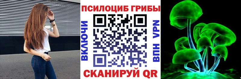 сайты даркнета какой сайт  Полысаево  Псилоцибиновые грибы Magic Shrooms  купить  сайты 